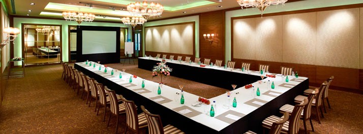 427/Radisson Blu Hotel Paschim Vihar - New Delhi 04.jpg